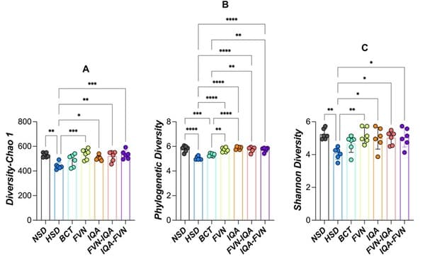 Flavonoids, Isoquinoline Alkaloids, and Their Combinations Affect Growth Performance, Inflammatory Status, and Gut Microbiome of Broilers Under High Stocking Density and Heat Stress - Image 1