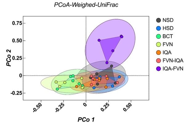 Flavonoids, Isoquinoline Alkaloids, and Their Combinations Affect Growth Performance, Inflammatory Status, and Gut Microbiome of Broilers Under High Stocking Density and Heat Stress - Image 2