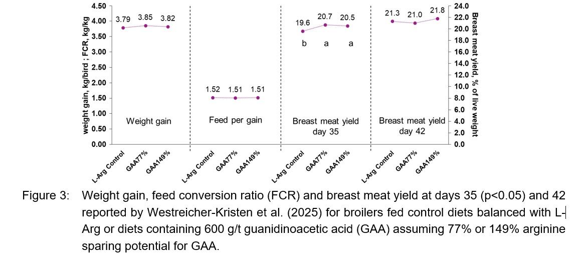 Recent publications demonstrate arginine sparing potential of guanidinoacetic acid - Image 1