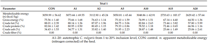 Exploring Feed Digestibility and Broiler Performance in Response to Dietary Supplementation of Chlorella vulgaris - Image 2