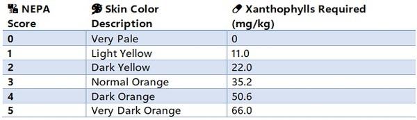 Feeding for Broiler Skin Colour – A Nutritional Approach - Image 4