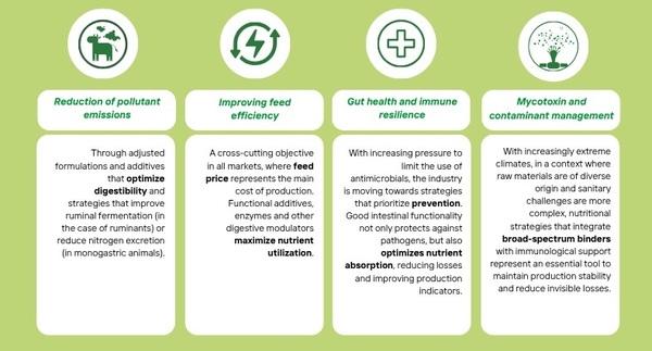 Sustainability and profitability in animal production: a necessary and possible balance - Image 1