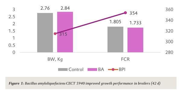 Bacillus amyloliquefaciens CECT 5940 - Gut-flora stabilizer for sustainable broiler production - Image 1