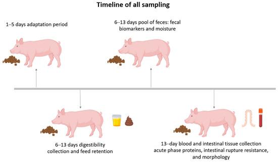 Effects of ß-Mannanase Alone or Combined with Multi-Carbohydrase Complex in Corn–Soybean Meal Diets on Nutrient Metabolism and Gut Health of Growing Pigs - Image 2
