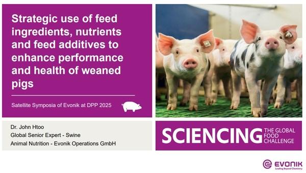 Strategic use of feed ingredients, nutrients and feed additives to enhance performance and health of weaned pigs - Image 1