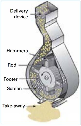 Feed Granulometry and the Importance of Feed Particle Size in Layers - Image 2