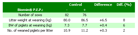 Powerful Phytogenics under Practical Evaluation in Sows and Piglets - Image 2
