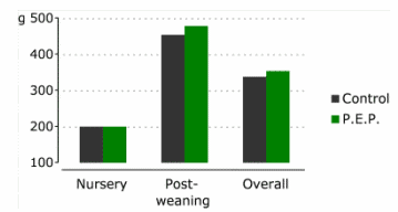 Powerful Phytogenics under Practical Evaluation in Sows and Piglets - Image 3