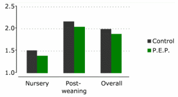 Powerful Phytogenics under Practical Evaluation in Sows and Piglets - Image 4