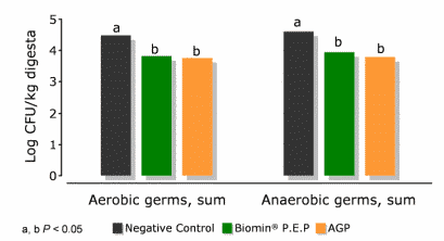 Powerful Phytogenics under Practical Evaluation in Sows and Piglets - Image 6