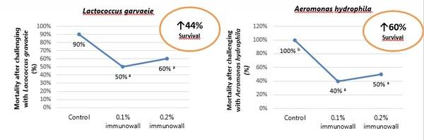 B-glucans: a natural solution to improving the immune status and survival of fish - Image 3