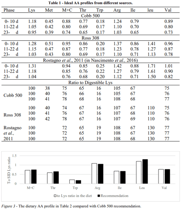 AUSTRALIA - IDEAL AMINO ACID PROFILE AND CHICKEN GUT DISTURBANCE: A REVIEW - Image 2