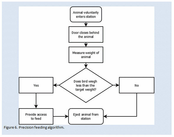 Factors that influence energy requirements of broiler breeders - Image 6