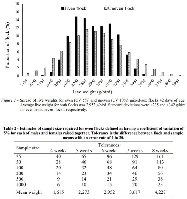 AUSTRALIA - FLOCK UNIFORMITY AND SAMPLE SIZE REQUIREMENTS FOR ACCURATE PREDICTION OF LIVE WEIGHT DURING MIXED-SEX REARING OF CHICKENS - Image 2