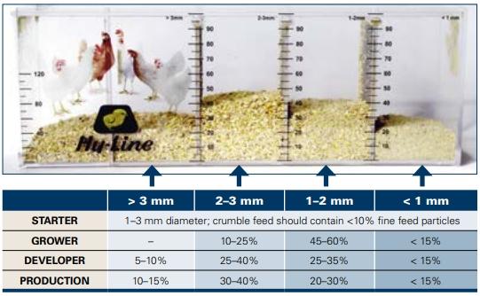 Feed Granulometry and the Importance of Feed Particle Size in Layers - Image 1