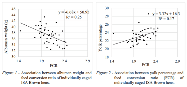 AUSTRALIA - RELATIONSHIP BETWEEN PRODUCTION TRAITS AND EGG QUALITY OF INDIVIDUAL ISA BROWN HENS - Image 2