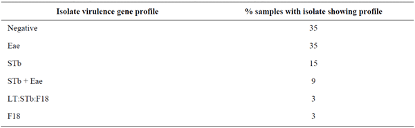 Virulence gene profiles in isolates from 34 samples from healthy pigs on 12 different farms