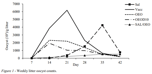 AUSTRALIA - DEVELOPMENT OF COCCIDIAL VACCINAL IMMUNITY IS NOT IMPAIRED BY FEEDING OREGANO ESSENTIAL OIL - Image 3
