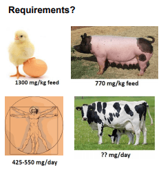 Additives: Use of Choline and Methionine in Dairy Cattle - Image 8