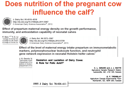 Additives: Use of Choline and Methionine in Dairy Cattle - Image 22