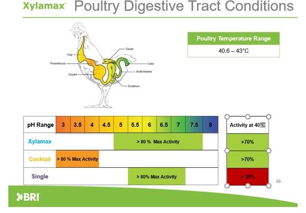 pH and Temperature Properties of Xylamax - Image 3