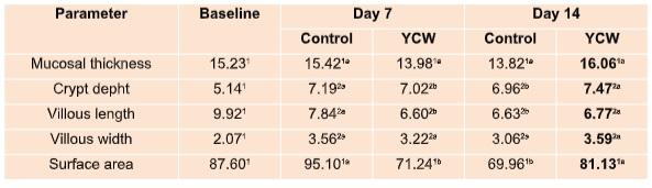 ImmunoWall®: Natural solution to control pathogens in the swine production - Image 2