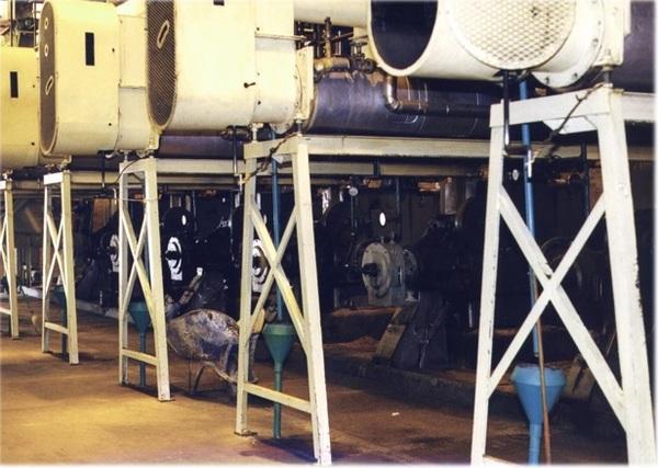 Expeller® pressing of wet processed corn germ - Image 1