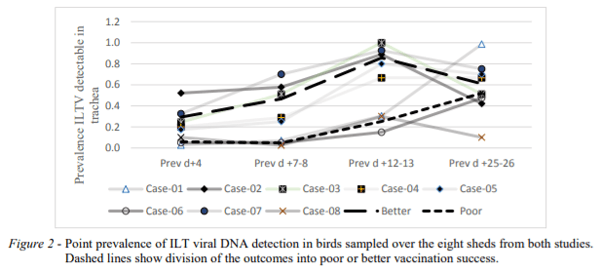 AUSTRALIA - FIELD VACCINATION AGAINST ILT IN BROILER CHICKENS: LACK OF CONSISTENCY - Image 2