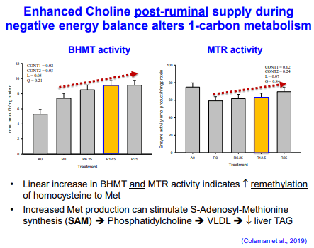 Additives: Use of Choline and Methionine in Dairy Cattle - Image 15