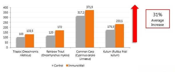 B-glucans: a natural solution to improving the immune status and survival of fish - Image 4