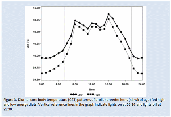 Factors that influence energy requirements of broiler breeders - Image 3