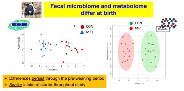 Additives: Use of Choline and Methionine in Dairy Cattle - Image 32