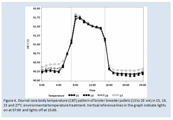 Factors that influence energy requirements of broiler breeders - Image 4