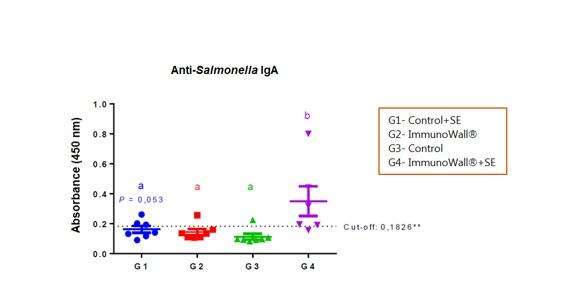 Poultry: pathogen control in antibiotic-free production - Image 1