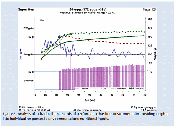 Factors that influence energy requirements of broiler breeders - Image 5