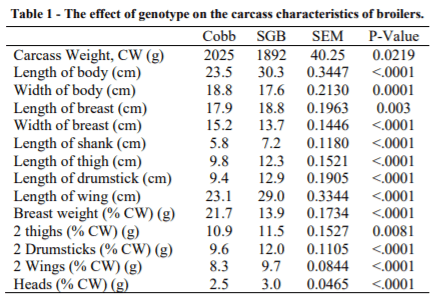 AUSTRALIA - EVALUATION OF A NOVEL SLOW-GROWING STRAIN FOR CHICKEN MEAT - Image 1