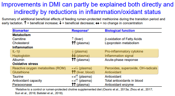 Additives: Use of Choline and Methionine in Dairy Cattle - Image 19