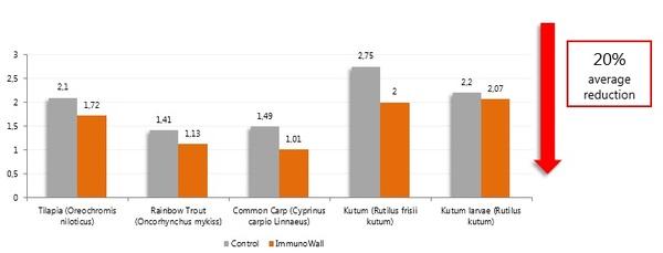 B-glucans: a natural solution to improving the immune status and survival of fish - Image 5