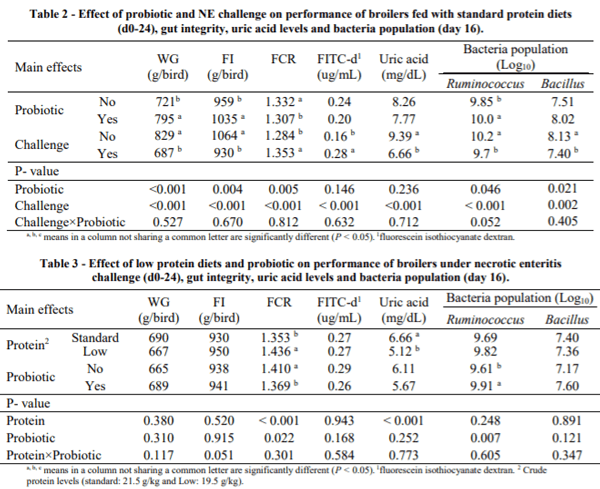 AUSTRALIA - BACILLUS AMYLOLIQUEFACIENS IMPROVES PERFORMANCE AND GUT INTEGRITY IN BROILERS FED LOW PROTEIN DIETS UNDER NECROTIC ENTERITIS CHALLENGE - Image 2