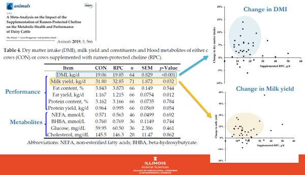 Additives: Use of Choline and Methionine in Dairy Cattle - Image 13
