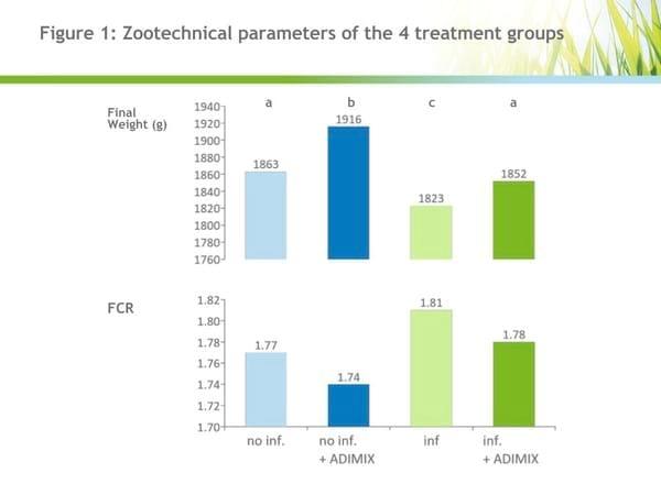 The mechanisms underlying the beneficial effects of precision delivery coated butyrate in a necrotic enteritis model in broilers - Image 1