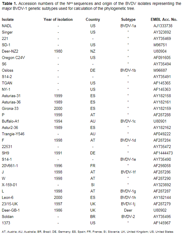 Genetic typing of bovine viral diarrhea virus isolates from Costa Rica - Image 2