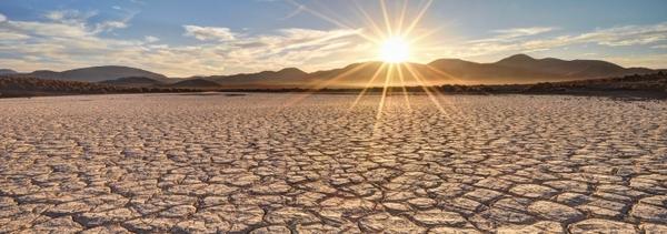 Heat Stress - Image 1