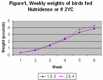 Comparison of nutrient dense corn nutritionally enhanced grain and no.2 yellow corn for broilers in the Dominican Republic - Image 1