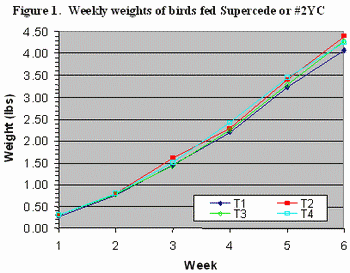 Comparison of Supercede nutritionally enhanced grain and No. 2 Yellow Corn for Broilers in the Dominican Republic - Image 4