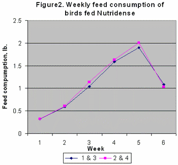 Comparison of nutrient dense corn nutritionally enhanced grain and no.2 yellow corn for broilers in the Dominican Republic - Image 2