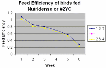 Comparison of nutrient dense corn nutritionally enhanced grain and no.2 yellow corn for broilers in the Dominican Republic - Image 3