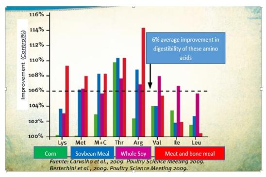 Vegetable proteins can replace animal proteins - Image 7