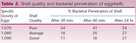 Reducing Contamination of Hatching Eggs - Image 2