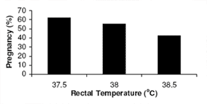 Heat Stress in Dairy Animals: Causes, Consequences and Possible Solutions - Image 2